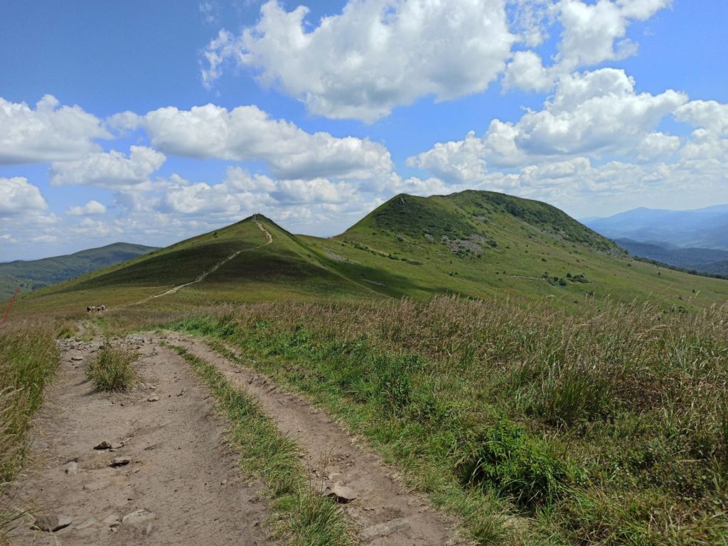 Widok na Tarniczkę (1315 m n.p.m.) i Tarnicę (1346 m n.p.m.).