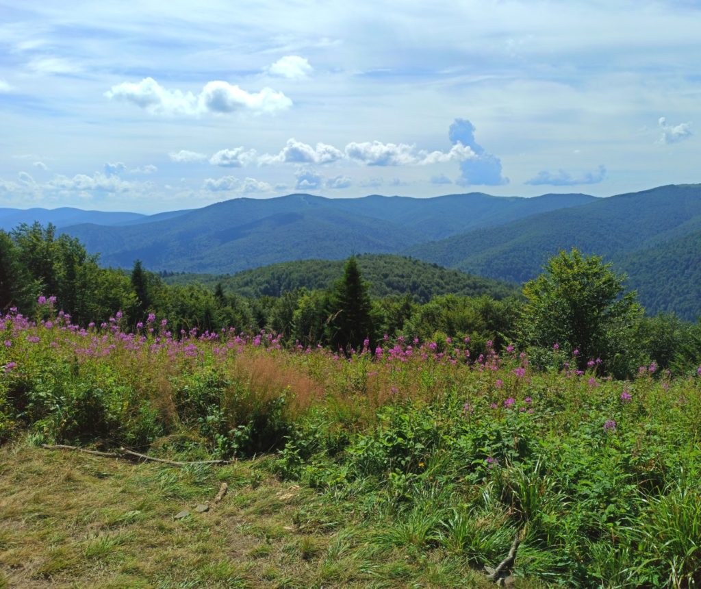 widok na południowe Bieszczady po słowackiej stronie
