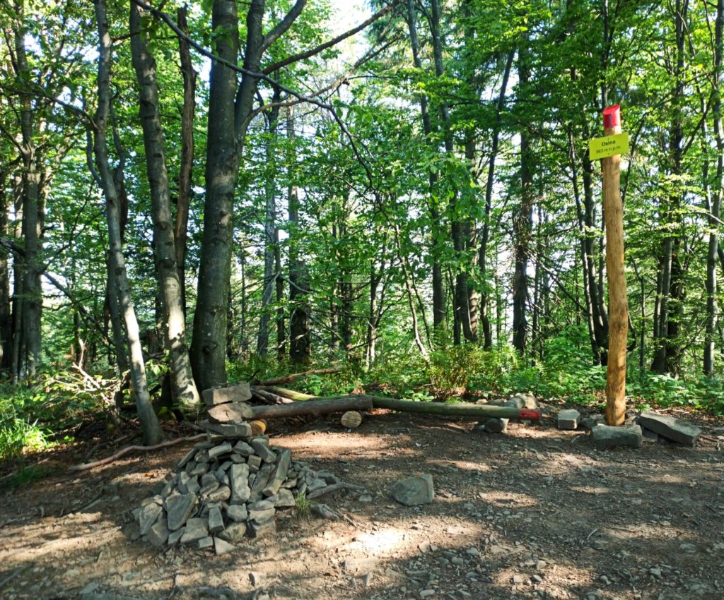 Szczyt Osiny (963 m n.p.m.) - Główny Szlak Beskidzki