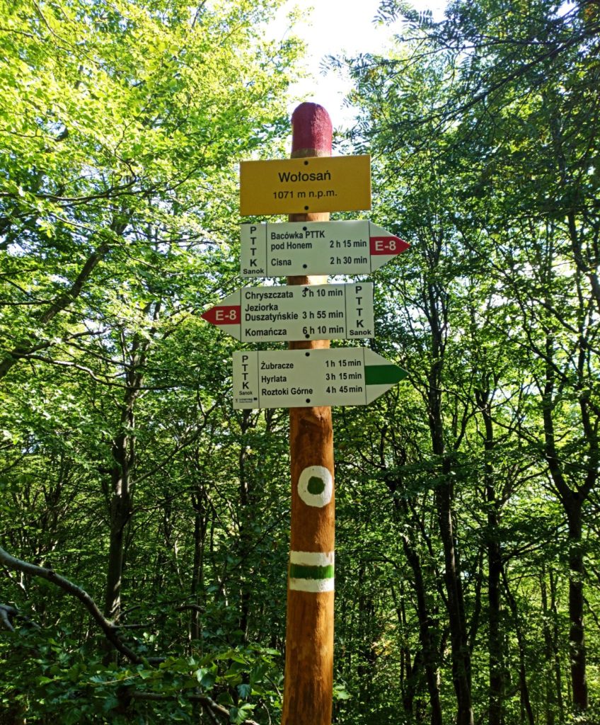 Na szczycie Wołosania (1071 m n.p.m.) - Główny Szlak Beskidzki