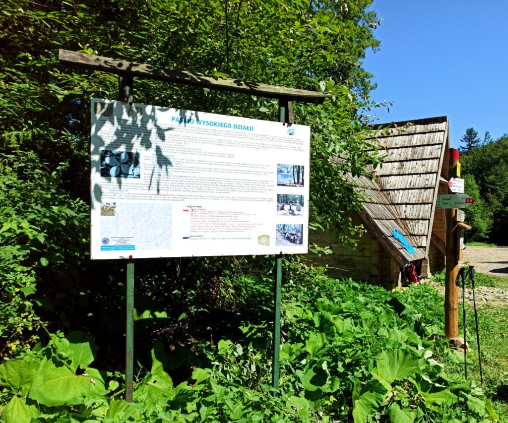 Przełęcz Żebrak (816 m n.p.m.) - Główny Szlak Beskidzki