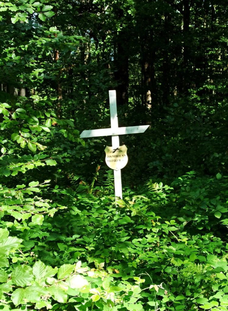 Chryszczata krzyże