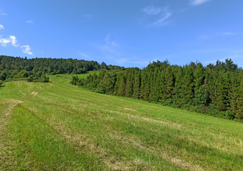 Tokarnia szlak
