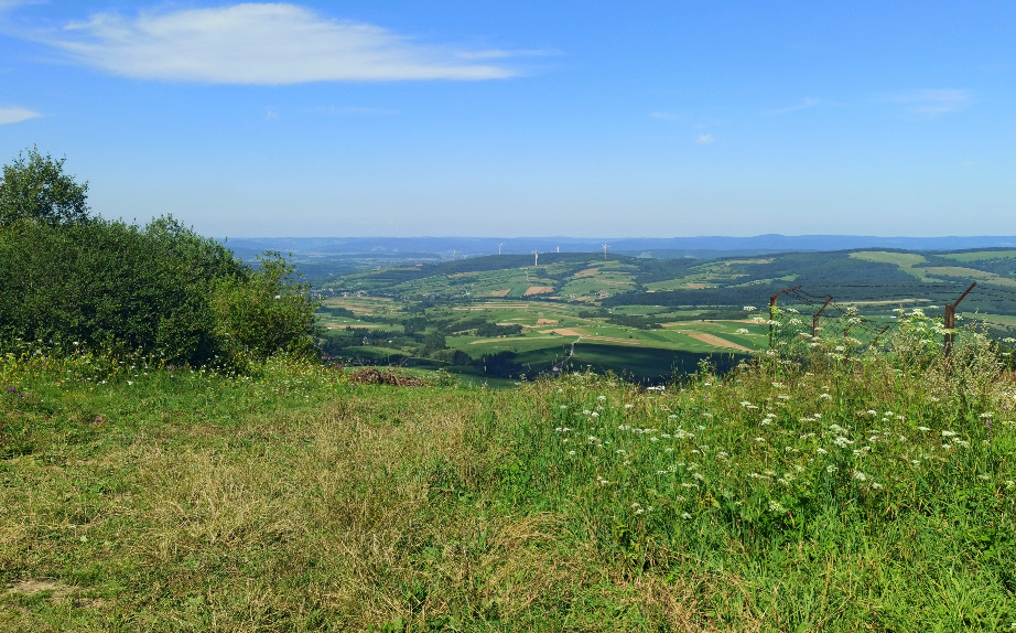 Tokarnia widok ze szczytu
