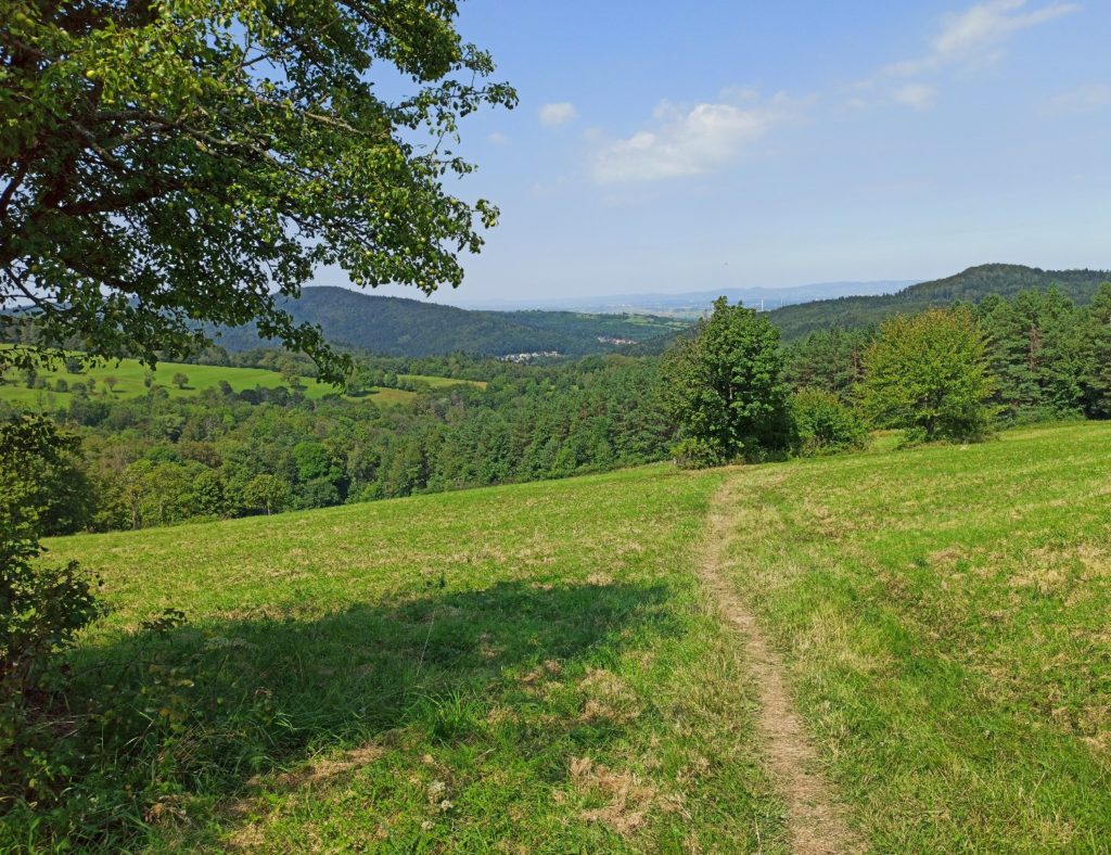 Widok na Rymanów Zdrój