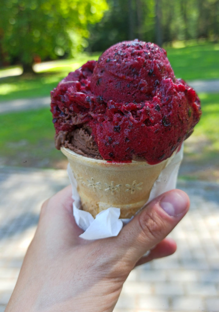 Lody w Rymanowie Zdroju.