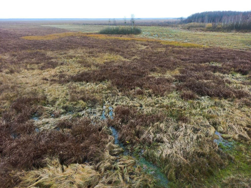 Bagno Ławki