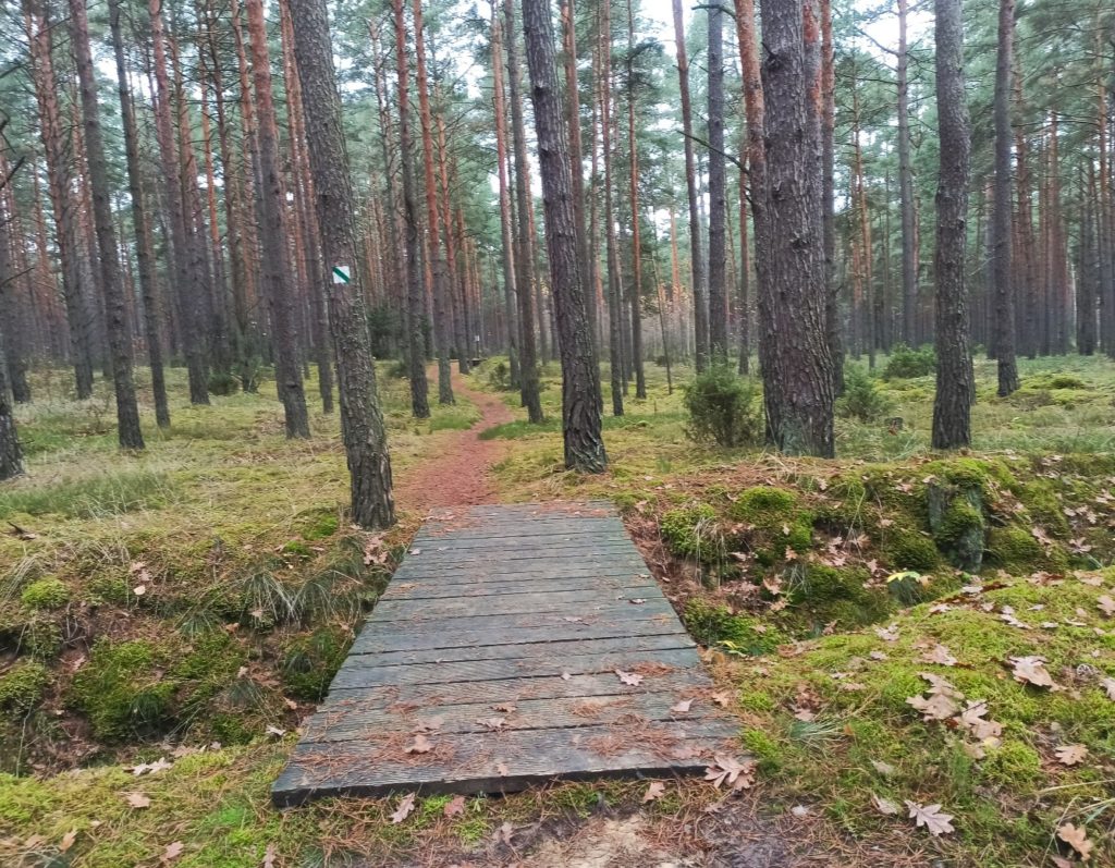 Mostek nad okopami wokół IV fortu Twierdza Osowiec