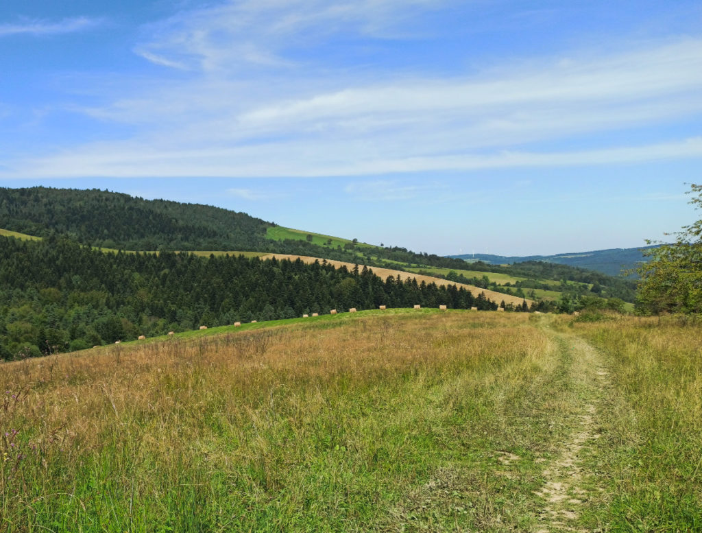 zbocza Tokarni (778 m n.p.m.)