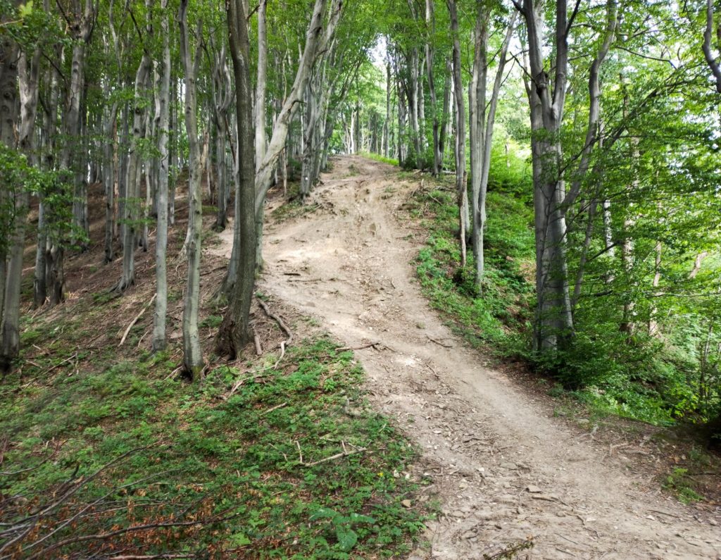 Cergowa